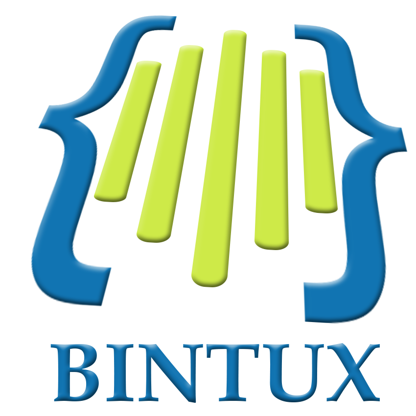 LOGO BINTUX